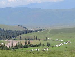 Naraty Grassland